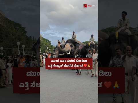 ಮುಂದೆ ಜನರ ಕೂಗಿಗೆ ಸೊಂಡಿಲು ಎತ್ತಿ ಸೆಲ್ಯೂಟ್ ಹೊಡೆದ ಪ್ರಶಾಂತ ❤️🙏