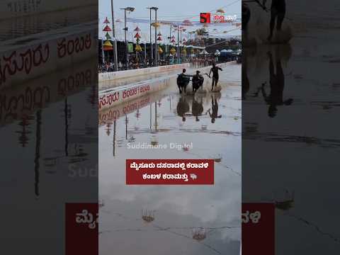ಮೈಸೂರು ದಸರಾದಲ್ಲಿ ಕರಾವಳಿ ಕಂಬಳ ಕರಾಮತ್ತು 🐃