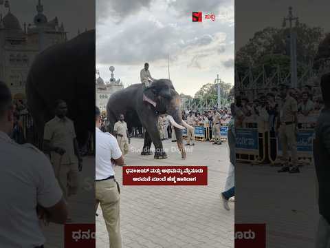 ಧನಂಜಯ್ ಮತ್ತು ಅಭಿಮನ್ಯು.ಮೈಸೂರು ಅರಮನೆ ಮುಂದೆ ಹೆಜ್ಜೆ ಹಾಕಿದಾಗ