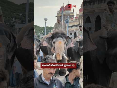ಅಂಬಾರಿ ಹೊರಲಿರುವ ಪ್ರಶಾಂತ ಆನೆ
