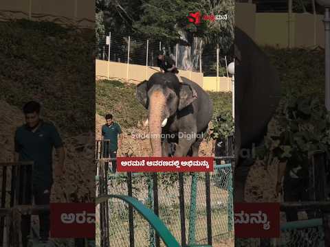 ಅರಮನೆ ಆವರಣದಲ್ಲಿ ಅಭಿಮನ್ಯು